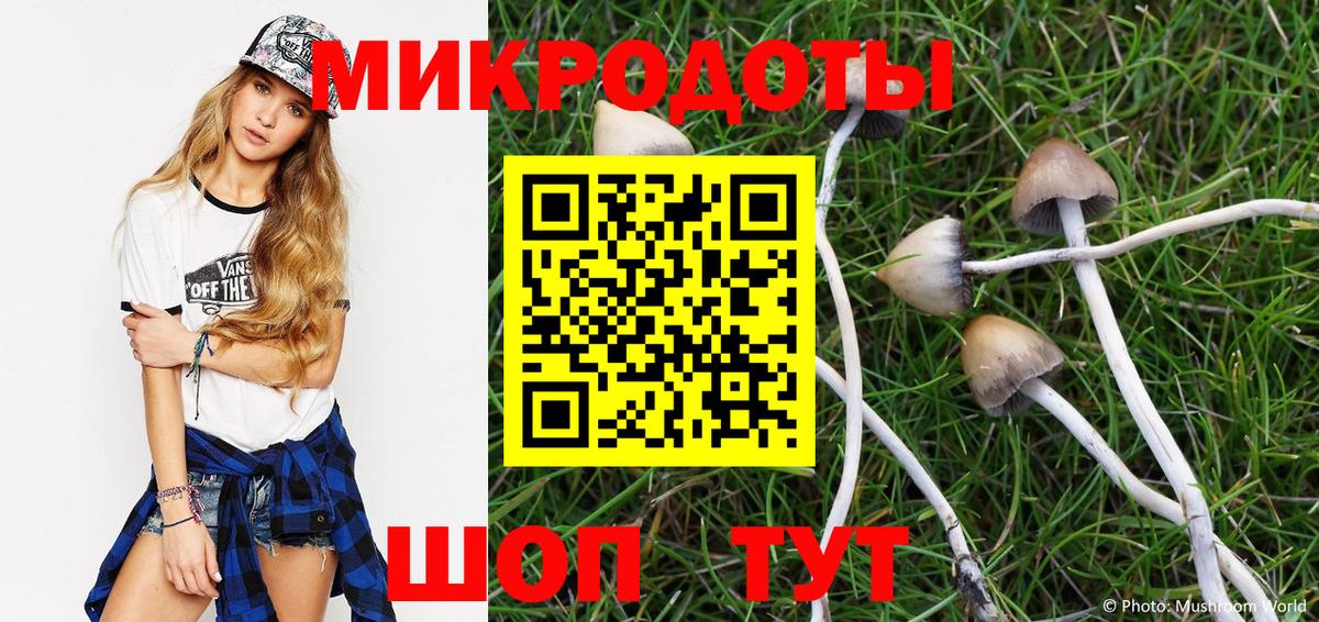 Новоалтайск  Галлюциногенные грибы Cubensis  Вход с VPN 